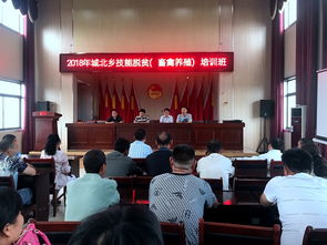 六安職業(yè)技術(shù)學(xué)院為城北鄉(xiāng)農(nóng)民開展網(wǎng)絡(luò)信息技術(shù)開發(fā)技能培訓(xùn)活動